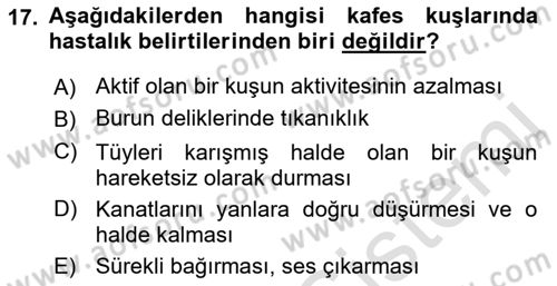 Temel Klinik Bilgisi Dersi 2018 - 2019 Yılı 3 Ders Sınav Soruları 17. Soru