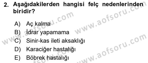 Temel Klinik Bilgisi Dersi 2018 - 2019 Yılı 3 Ders Sınav Soruları 2. Soru