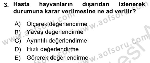 Temel Klinik Bilgisi Dersi 2018 - 2019 Yılı 3 Ders Sınav Soruları 3. Soru