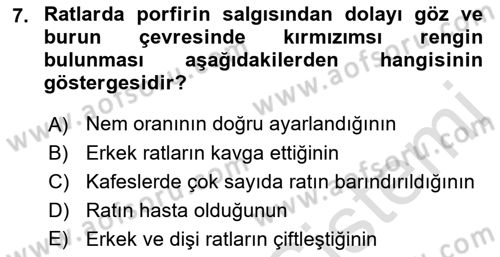 Temel Klinik Bilgisi Dersi 2018 - 2019 Yılı 3 Ders Sınav Soruları 7. Soru