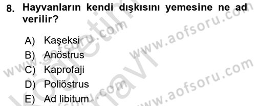 Temel Klinik Bilgisi Dersi 2018 - 2019 Yılı 3 Ders Sınav Soruları 8. Soru