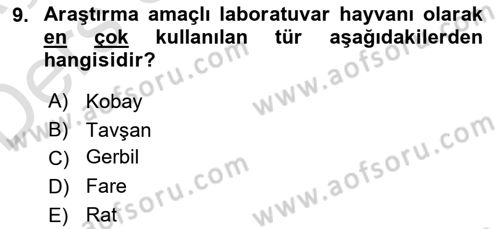 Temel Klinik Bilgisi Dersi 2018 - 2019 Yılı 3 Ders Sınav Soruları 9. Soru