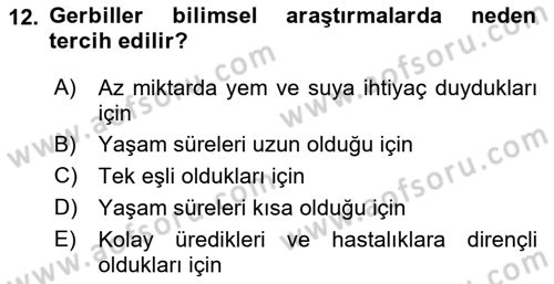 Temel Klinik Bilgisi Dersi 2018 - 2019 Yılı (Vize) Ara Sınav Soruları 12. Soru