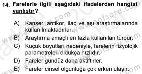 Temel Klinik Bilgisi Dersi 2018 - 2019 Yılı (Vize) Ara Sınav Soruları 14. Soru