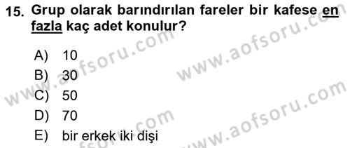 Temel Klinik Bilgisi Dersi 2018 - 2019 Yılı (Vize) Ara Sınav Soruları 15. Soru