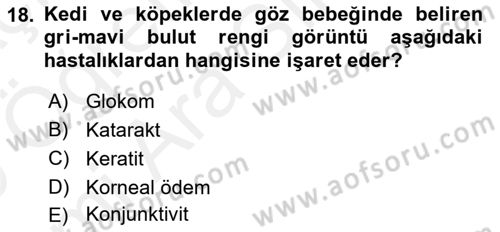 Temel Klinik Bilgisi Dersi 2018 - 2019 Yılı (Vize) Ara Sınav Soruları 18. Soru