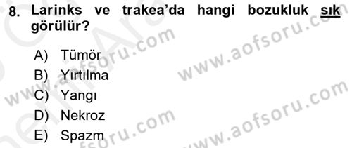 Temel Klinik Bilgisi Dersi 2018 - 2019 Yılı (Vize) Ara Sınav Soruları 8. Soru