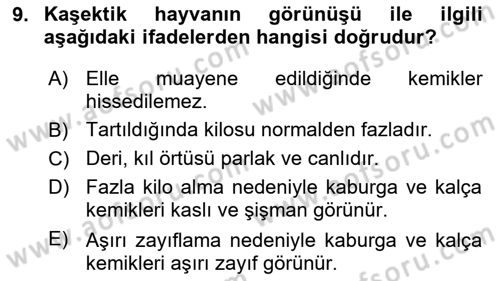 Temel Klinik Bilgisi Dersi 2018 - 2019 Yılı (Vize) Ara Sınav Soruları 9. Soru