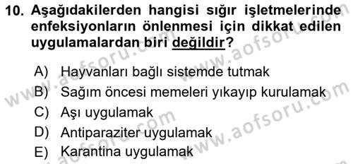 Temel Klinik Bilgisi Dersi 2018 - 2019 Yılı (Final) Dönem Sonu Sınavı 10. Soru