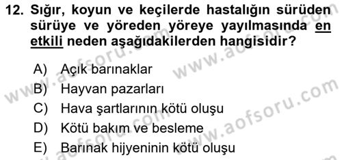 Temel Klinik Bilgisi Dersi 2018 - 2019 Yılı (Final) Dönem Sonu Sınavı 12. Soru