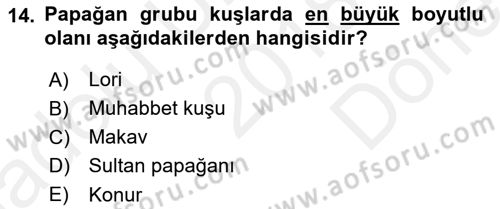 Temel Klinik Bilgisi Dersi 2018 - 2019 Yılı (Final) Dönem Sonu Sınavı 14. Soru