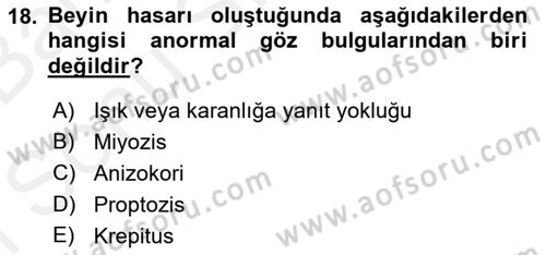 Temel Klinik Bilgisi Dersi 2018 - 2019 Yılı (Final) Dönem Sonu Sınavı 18. Soru