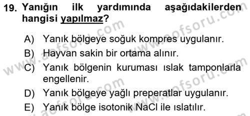 Temel Klinik Bilgisi Dersi 2018 - 2019 Yılı (Final) Dönem Sonu Sınavı 19. Soru