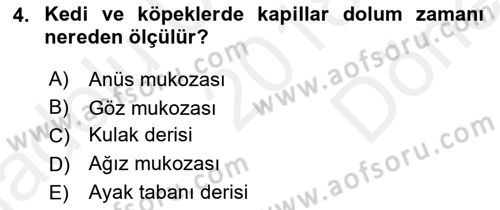 Temel Klinik Bilgisi Dersi 2018 - 2019 Yılı (Final) Dönem Sonu Sınavı 4. Soru