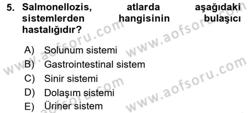 Temel Klinik Bilgisi Dersi 2018 - 2019 Yılı (Final) Dönem Sonu Sınavı 5. Soru