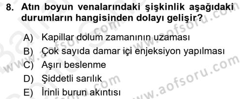 Temel Klinik Bilgisi Dersi 2018 - 2019 Yılı (Final) Dönem Sonu Sınavı 8. Soru