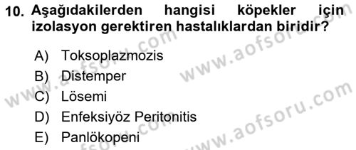 Temel Klinik Bilgisi Dersi 2018 - 2019 Yılı Yaz Okulu Sınavı 10. Soru