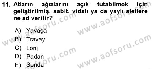 Temel Klinik Bilgisi Dersi 2018 - 2019 Yılı Yaz Okulu Sınavı 11. Soru