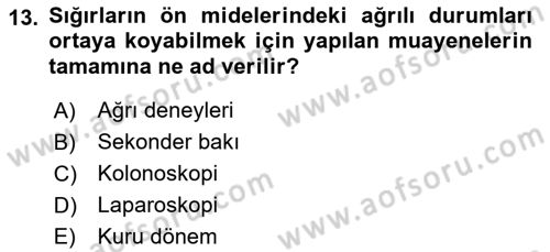 Temel Klinik Bilgisi Dersi 2018 - 2019 Yılı Yaz Okulu Sınavı 13. Soru