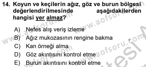 Temel Klinik Bilgisi Dersi 2018 - 2019 Yılı Yaz Okulu Sınavı 14. Soru