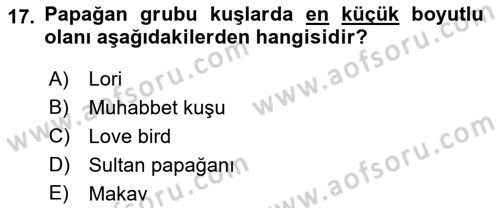 Temel Klinik Bilgisi Dersi 2018 - 2019 Yılı Yaz Okulu Sınavı 17. Soru