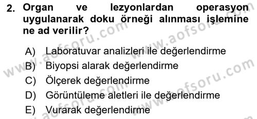 Temel Klinik Bilgisi Dersi 2018 - 2019 Yılı Yaz Okulu Sınavı 2. Soru