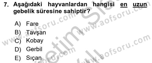 Temel Klinik Bilgisi Dersi 2018 - 2019 Yılı Yaz Okulu Sınavı 7. Soru