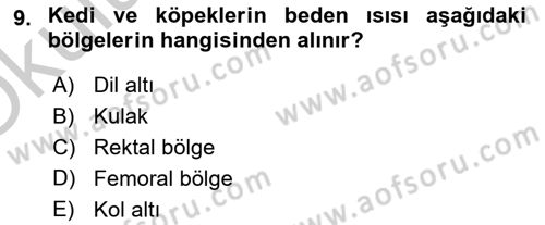 Temel Klinik Bilgisi Dersi 2018 - 2019 Yılı Yaz Okulu Sınavı 9. Soru