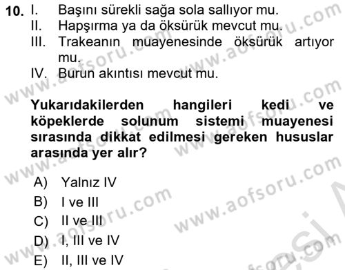 Temel Klinik Bilgisi Dersi 2020 - 2021 Yılı Yaz Okulu Sınav Soruları 10. Soru