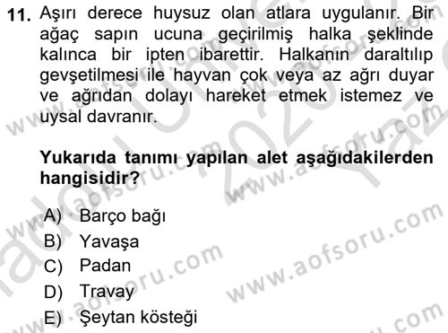 Temel Klinik Bilgisi Dersi 2020 - 2021 Yılı Yaz Okulu Sınav Soruları 11. Soru