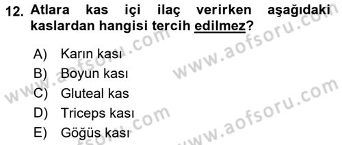 Temel Klinik Bilgisi Dersi 2020 - 2021 Yılı Yaz Okulu Sınav Soruları 12. Soru