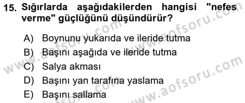 Temel Klinik Bilgisi Dersi 2020 - 2021 Yılı Yaz Okulu Sınav Soruları 15. Soru
