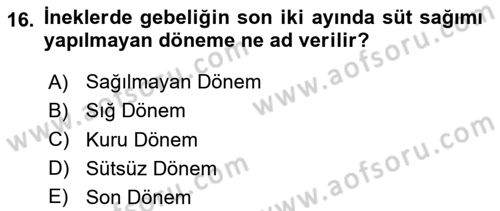 Temel Klinik Bilgisi Dersi 2020 - 2021 Yılı Yaz Okulu Sınav Soruları 16. Soru