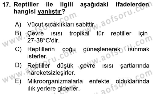 Temel Klinik Bilgisi Dersi 2020 - 2021 Yılı Yaz Okulu Sınav Soruları 17. Soru