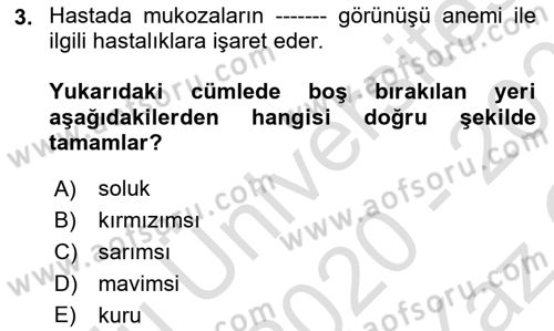 Temel Klinik Bilgisi Dersi 2020 - 2021 Yılı Yaz Okulu Sınav Soruları 3. Soru