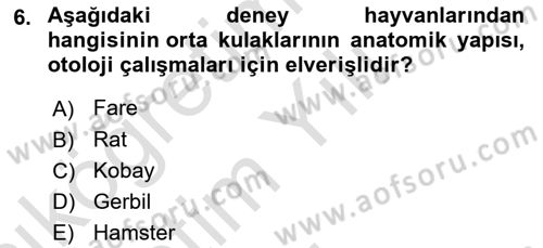 Temel Klinik Bilgisi Dersi 2020 - 2021 Yılı Yaz Okulu Sınav Soruları 6. Soru