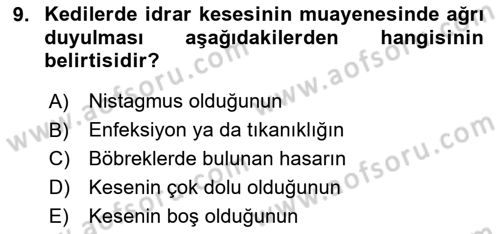 Temel Klinik Bilgisi Dersi 2020 - 2021 Yılı Yaz Okulu Sınav Soruları 9. Soru