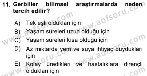 Temel Klinik Bilgisi Dersi 2021 - 2022 Yılı (Vize) Ara Sınav Soruları 11. Soru