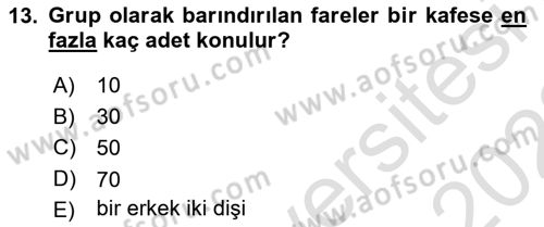 Temel Klinik Bilgisi Dersi 2021 - 2022 Yılı (Vize) Ara Sınav Soruları 13. Soru