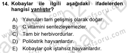 Temel Klinik Bilgisi Dersi 2021 - 2022 Yılı (Vize) Ara Sınav Soruları 14. Soru
