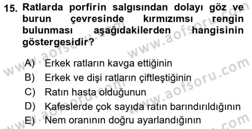 Temel Klinik Bilgisi Dersi 2021 - 2022 Yılı (Vize) Ara Sınav Soruları 15. Soru