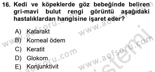Temel Klinik Bilgisi Dersi 2021 - 2022 Yılı (Vize) Ara Sınav Soruları 16. Soru