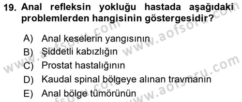 Temel Klinik Bilgisi Dersi 2021 - 2022 Yılı (Vize) Ara Sınav Soruları 19. Soru