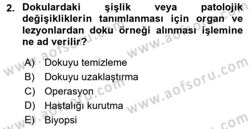 Temel Klinik Bilgisi Dersi 2021 - 2022 Yılı (Vize) Ara Sınav Soruları 2. Soru