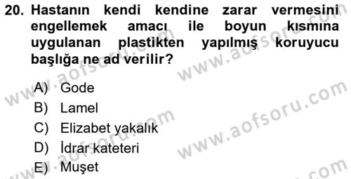 Temel Klinik Bilgisi Dersi 2021 - 2022 Yılı (Vize) Ara Sınav Soruları 20. Soru