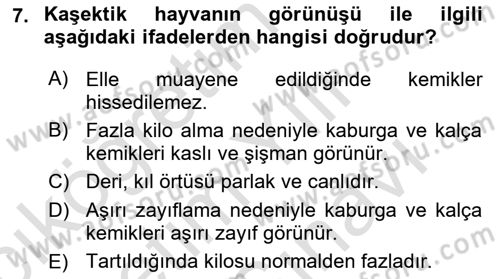 Temel Klinik Bilgisi Dersi 2021 - 2022 Yılı (Vize) Ara Sınav Soruları 7. Soru