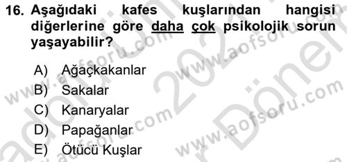 Temel Klinik Bilgisi Dersi 2021 - 2022 Yılı (Final) Dönem Sonu Sınav Soruları 16. Soru