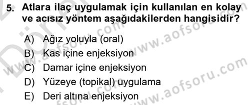 Temel Klinik Bilgisi Dersi 2021 - 2022 Yılı (Final) Dönem Sonu Sınav Soruları 5. Soru