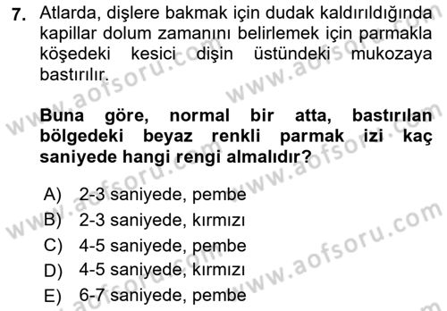 Temel Klinik Bilgisi Dersi 2021 - 2022 Yılı (Final) Dönem Sonu Sınav Soruları 7. Soru