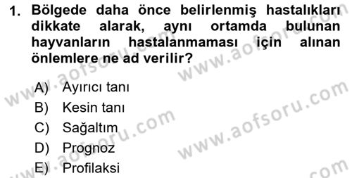 Temel Klinik Bilgisi Dersi 2021 - 2022 Yılı Yaz Okulu Sınav Soruları 1. Soru